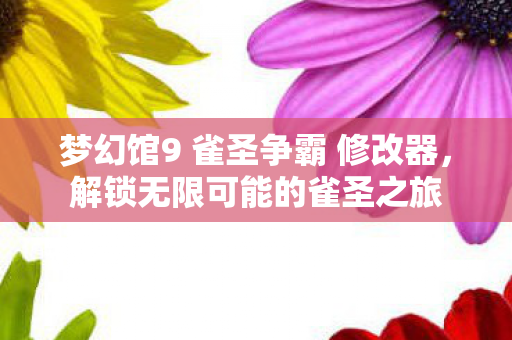 梦幻馆9 雀圣争霸 修改器,解锁无限可能的雀圣之旅 梦幻馆9 雀圣争霸 修改器,解锁无限可能的雀圣之旅