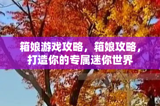 箱娘游戏攻略，箱娘攻略，打造你的专属迷你世界