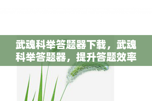 武魂科举答题器下载,武魂科举答题器,提升答题效率的利器 武魂科举答题器下载,武魂科举答题器,提升答题效率的利器