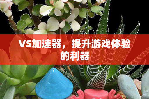 VS加速器,提升游戏体验的利器 VS加速器,提升游戏体验的利器
