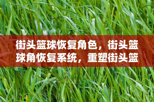 街头篮球恢复角色,街头篮球角恢复系统,重塑街头篮球文化的活力 街头篮球恢复角色,街头篮球角恢复系统,重塑街头篮球文化的活力