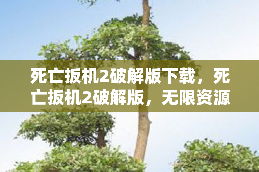 死亡扳机2破解版下载,死亡扳机2破解版,无限资源,畅享末日生存 死亡扳机2破解版下载,死亡扳机2破解版,无限资源,畅享末日生存