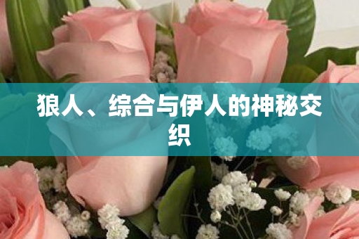 狼人、综合与伊人的神秘交织 狼人、综合与伊人的神秘交织