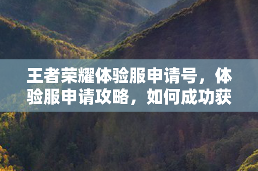 王者荣耀体验服申请号,体验服申请攻略,如何成功获取高级账号? 王者荣耀体验服申请号,体验服申请攻略,如何成功获取高级账号?