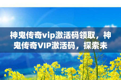 神鬼传奇vip激活码领取，神鬼传奇VIP激活码，探索未知世界的神秘钥匙