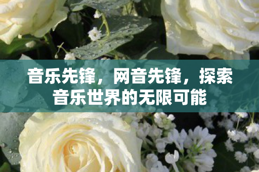 音乐先锋,网音先锋,探索音乐世界的无限可能 音乐先锋,网音先锋,探索音乐世界的无限可能