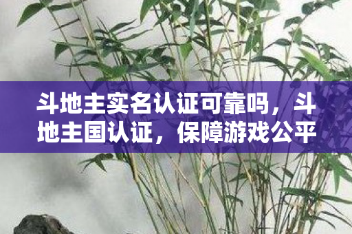斗地主实名认证可靠吗,斗地主国认证,保障游戏公平与安全的重要一环 斗地主实名认证可靠吗,斗地主国认证,保障游戏公平与安全的重要一环