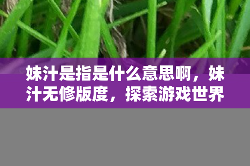 妹汁是指是什么意思啊,妹汁无修版度,探索游戏世界的独特魅力 妹汁是指是什么意思啊,妹汁无修版度,探索游戏世界的独特魅力