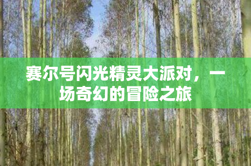 赛尔号闪光精灵大派对，一场奇幻的冒险之旅