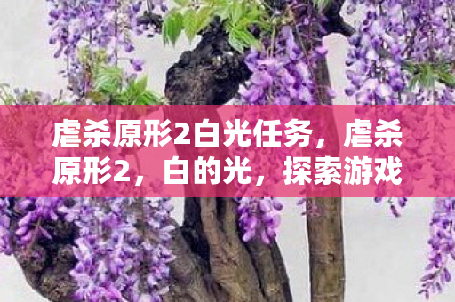 虐杀原形2白光任务，虐杀原形2，白的光，探索游戏背后的深层意义
