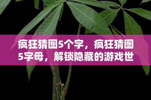 疯狂猜图5个字,疯狂猜图5字母,解锁隐藏的游戏世界 疯狂猜图5个字,疯狂猜图5字母,解锁隐藏的游戏世界
