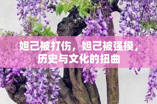 妲己被打伤，妲己被强摸，历史与文化的扭曲