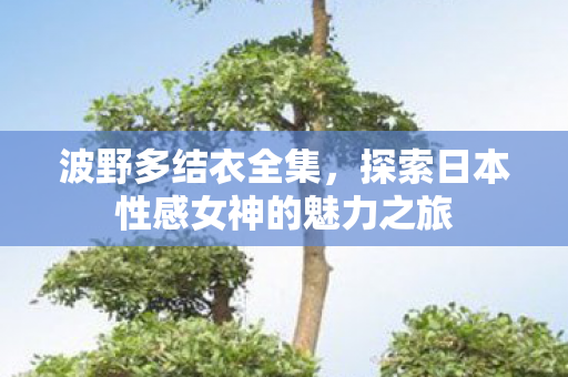 波野多结衣全集,探索日本性感女神的魅力之旅 波野多结衣全集,探索日本性感女神的魅力之旅
