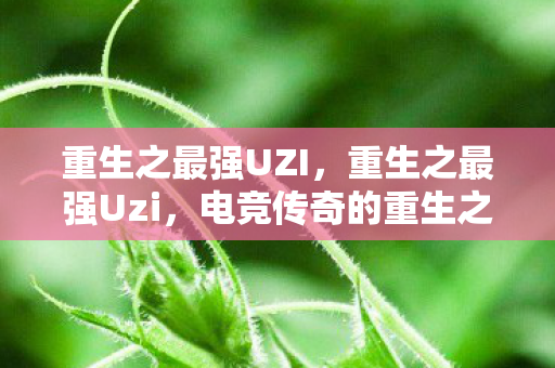 重生之最强UZI，重生之最强Uzi，电竞传奇的重生之路