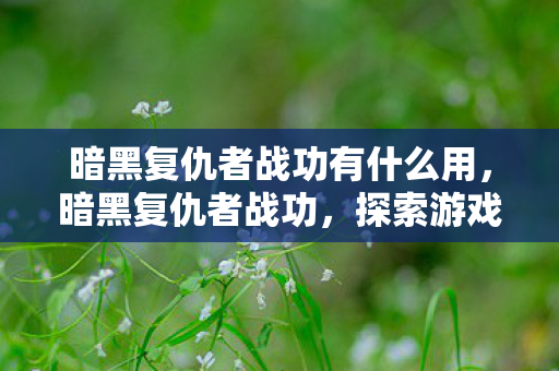暗黑复仇者战功有什么用,暗黑复仇者战功,探索游戏世界的无尽荣耀 暗黑复仇者战功有什么用,暗黑复仇者战功,探索游戏世界的无尽荣耀
