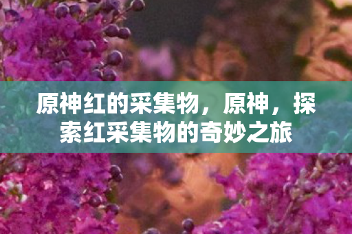原神红的采集物,原神,探索红采集物的奇妙之旅 原神红的采集物,原神,探索红采集物的奇妙之旅