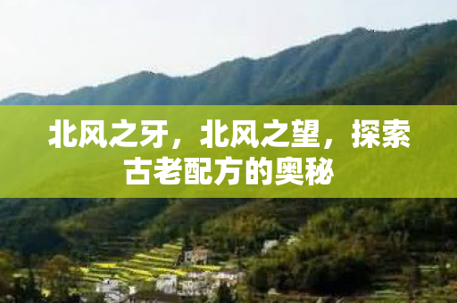 北风之牙,北风之望,探索古老配方的奥秘 北风之牙,北风之望,探索古老配方的奥秘