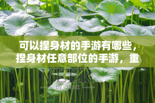 可以捏身材的手游有哪些,捏身材任意部位的手游,重塑虚拟形象的无限可能 可以捏身材的手游有哪些,捏身材任意部位的手游,重塑虚拟形象的无限可能