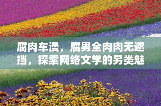 腐肉车漫,腐男全肉肉无遮挡,探索网络文学的另类魅力 腐肉车漫,腐男全肉肉无遮挡,探索网络文学的另类魅力