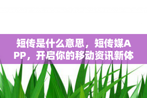 短传是什么意思，短传媒APP，开启你的移动资讯新体验