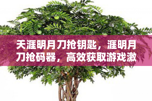 天涯明月刀抢钥匙,涯明月刀抢码器,高效获取游戏激活码的利器 天涯明月刀抢钥匙,涯明月刀抢码器,高效获取游戏激活码的利器