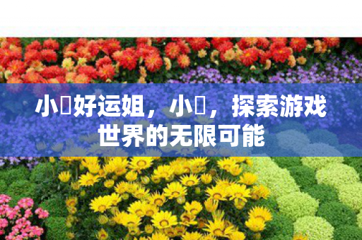小訫好运姐,小訫,探索游戏世界的无限可能 小訫好运姐,小訫,探索游戏世界的无限可能