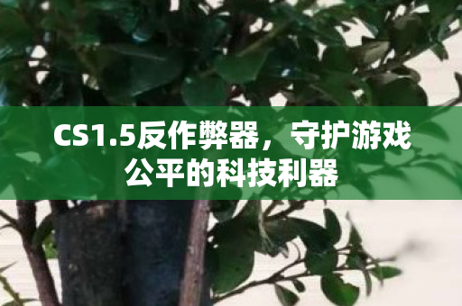 CS1.5反作弊器，守护游戏公平的科技利器