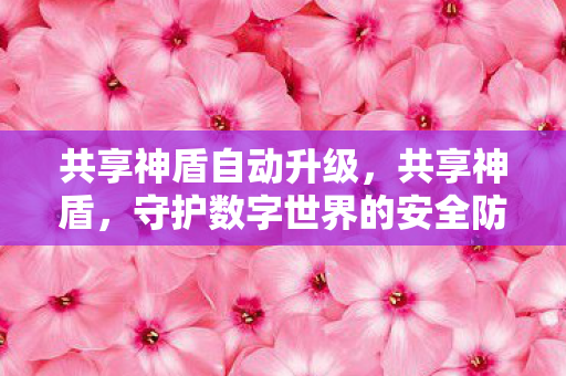 共享神盾自动升级，共享神盾，守护数字世界的安全防线