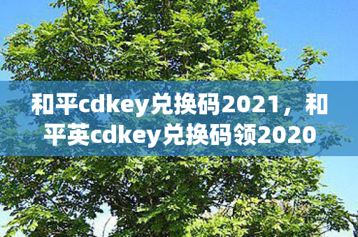 和平cdkey兑换码2021，和平英cdkey兑换码领2020，解锁专属福利，畅享游戏新体验