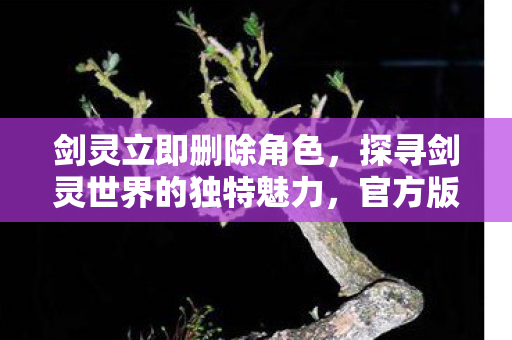 剑灵立即删除角色,探寻剑灵世界的独特魅力,官方版本与玩家社区的交织 剑灵立即删除角色,探寻剑灵世界的独特魅力,官方版本与玩家社区的交织
