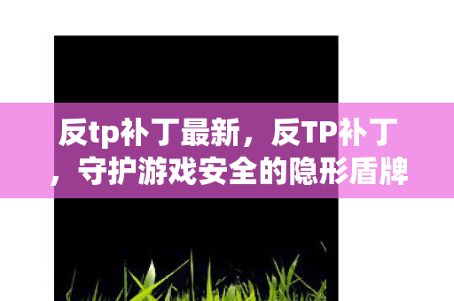 反tp补丁最新,反TP补丁,守护游戏安全的隐形盾牌 反tp补丁最新,反TP补丁,守护游戏安全的隐形盾牌