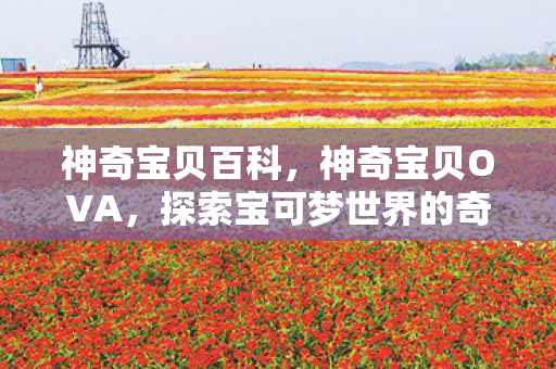 神奇宝贝百科，神奇宝贝OVA，探索宝可梦世界的奇幻之旅