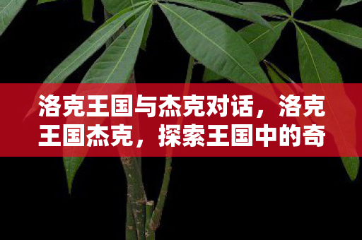 洛克王国与杰克对话,洛克王国杰克,探索王国中的奇妙冒险 洛克王国与杰克对话,洛克王国杰克,探索王国中的奇妙冒险