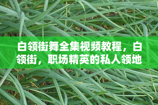 白领街舞全集视频教程,白领街,职场精英的私人领地与社交新生态 白领街舞全集视频教程,白领街,职场精英的私人领地与社交新生态