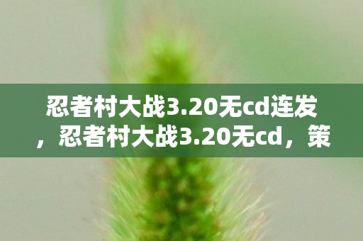 忍者村大战3.20无cd连发，忍者村大战3.20无cd，策略与技巧的极致展现