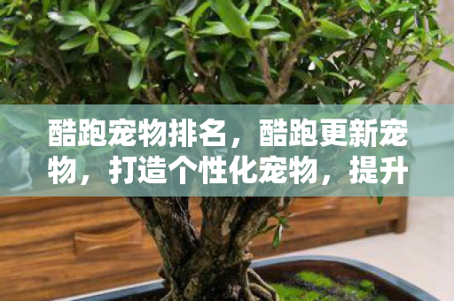 酷跑宠物排名,酷跑更新宠物,打造个性化宠物,提升游戏体验 酷跑宠物排名,酷跑更新宠物,打造个性化宠物,提升游戏体验