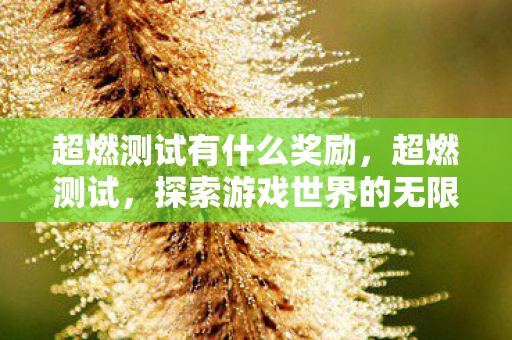 超燃测试有什么奖励，超燃测试，探索游戏世界的无限可能