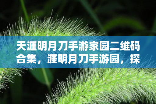 天涯明月刀手游家园二维码合集,涯明月刀手游园,探索未知世界的奇妙之旅 天涯明月刀手游家园二维码合集,涯明月刀手游园,探索未知世界的奇妙之旅