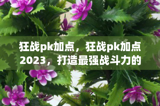 狂战pk加点，狂战pk加点2023，打造最强战斗力的加点策略