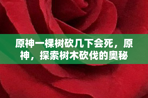 原神一棵树砍几下会死，原神，探索树木砍伐的奥秘