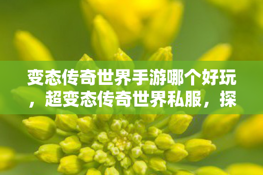 变态传奇世界手游哪个好玩，超变态传奇世界私服，探索未知世界的奇妙之旅