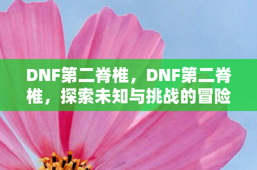 DNF第二脊椎，DNF第二脊椎，探索未知与挑战的冒险之旅