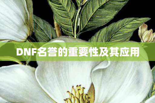 DNF名誉的重要性及其应用 DNF名誉的重要性及其应用