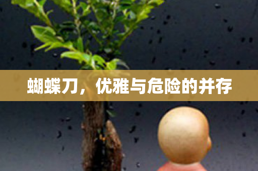 蝴蝶刀，优雅与危险的并存