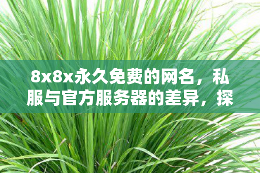 8x8x永久免费的网名,私服与官方服务器的差异,探索游戏世界的另一面 8x8x永久免费的网名,私服与官方服务器的差异,探索游戏世界的另一面