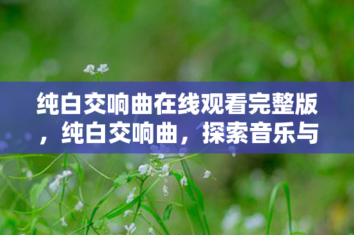 纯白交响曲在线观看完整版,纯白交响曲,探索音乐与艺术的纯粹之旅 纯白交响曲在线观看完整版,纯白交响曲,探索音乐与艺术的纯粹之旅