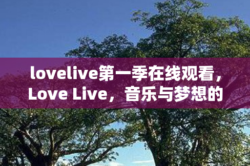 lovelive第一季在线观看,Love Live,音乐与梦想的交响曲 lovelive第一季在线观看,Love Live,音乐与梦想的交响曲