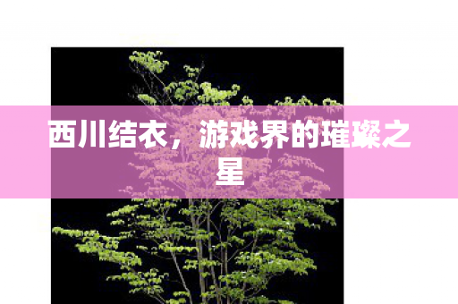 西川结衣，游戏界的璀璨之星
