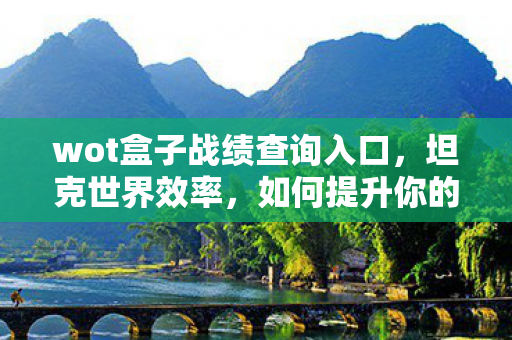 wot盒子战绩查询入口，坦克世界效率，如何提升你的游戏表现？