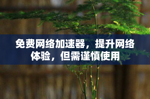 免费网络加速器,提升网络体验,但需谨慎使用 免费网络加速器,提升网络体验,但需谨慎使用
